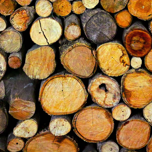 Wood Fuel