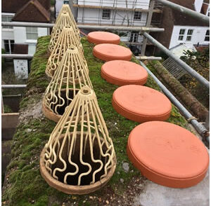 Bird Guards and Disused Chimney Caps