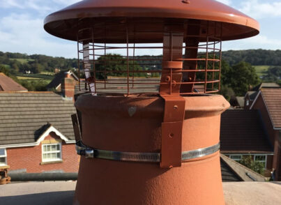 Chimney Cowl Products Standard Bird Guard